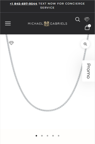 project thumbnail of Michael Gabriel