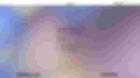project thumbnail of Parallel Vienna