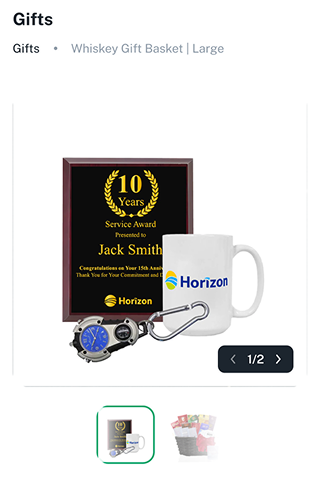 project thumbnail of Horizon Health Network 