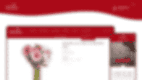 project thumbnail of Bloomex
